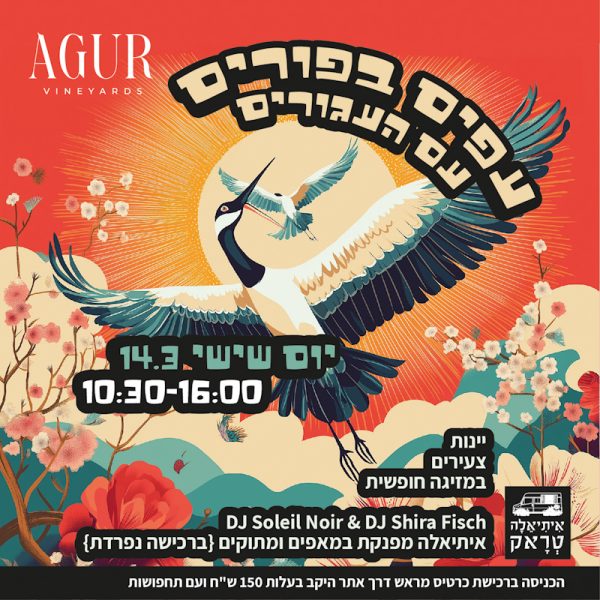 עפים בפורים עם העגורים 14/3